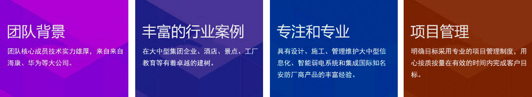 团队成员
